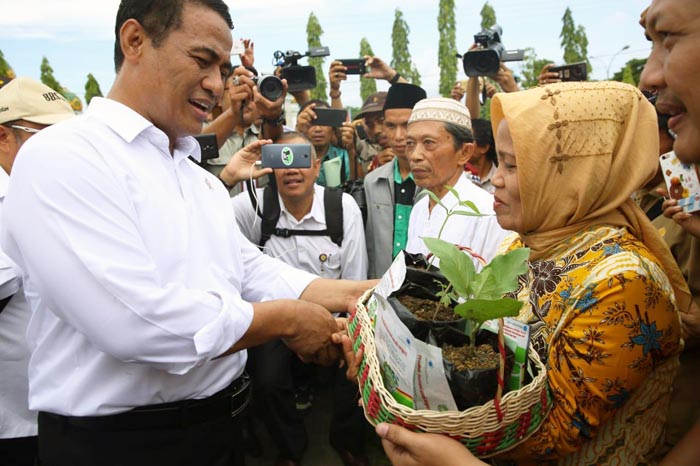 Pengendalian TBK, Mentan Instruksikan Penyuluh Dampingi Petani Kakao